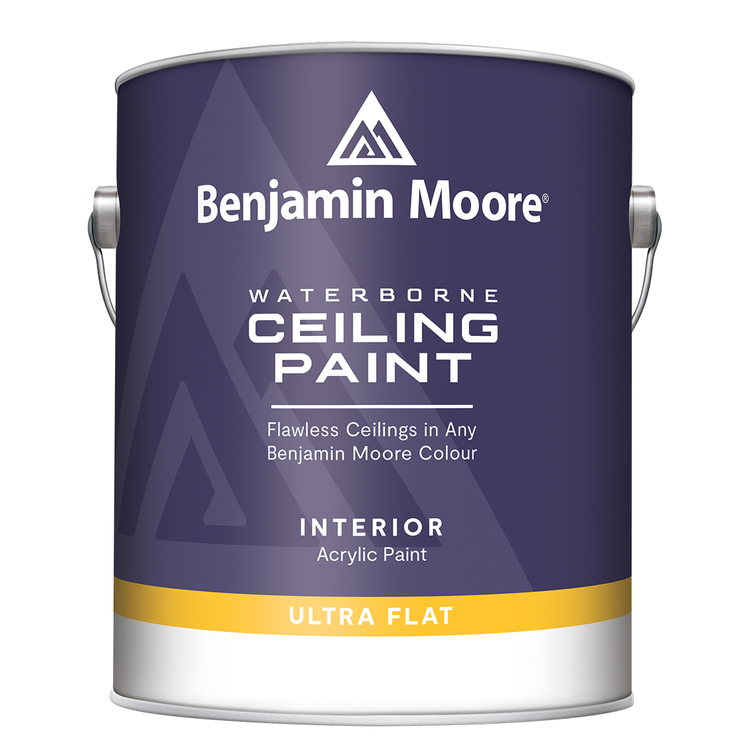 Waterborne Ceiling Paint F508